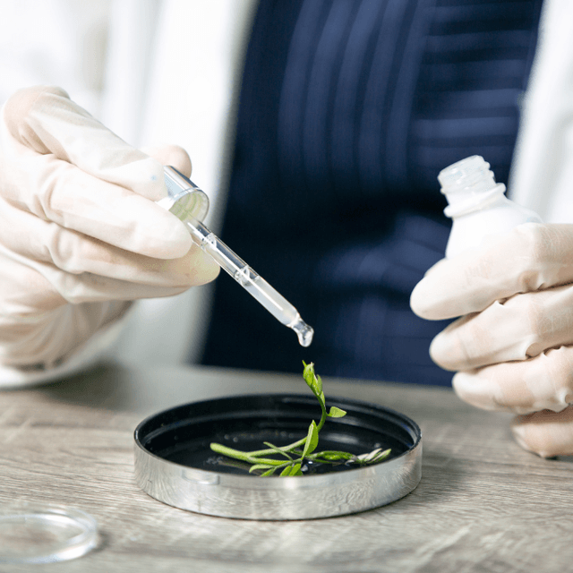 What is the Knowledge Development Box and why does it matter for CFOs