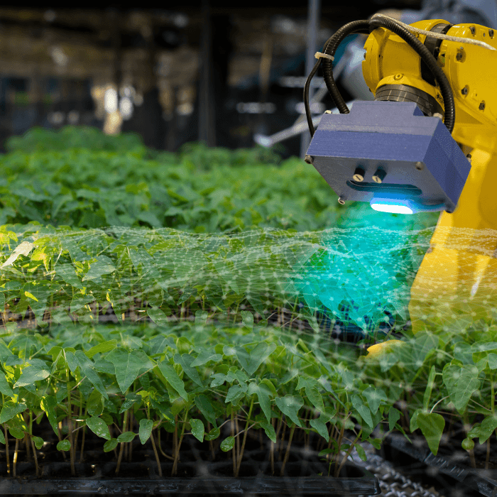 What is bid writing and why does it matter for Irish R&D and innovation funding?